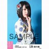 AKB48 Netshop April 2017 Tsubasa wa Iranai custome2.jpg