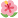 18 Hibiscus.png