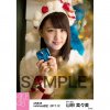 AKB48 Netshop December 2017 Christmas custome1.jpg